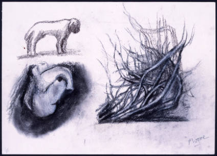 Three Studies: Tree, Animal, Head