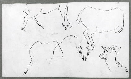 Studies of Goats