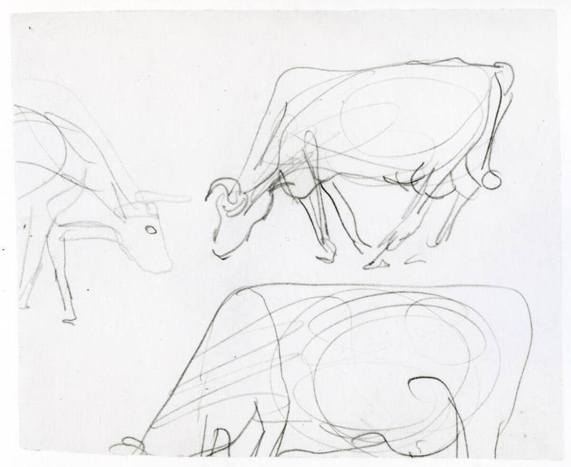 Studies of Cows