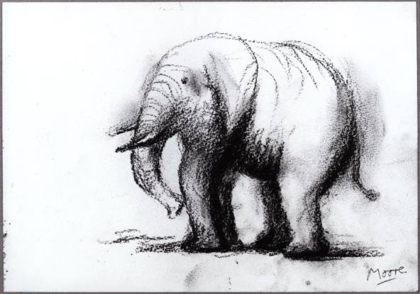 Elephant I