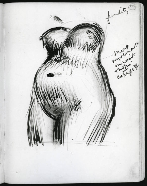 Study of Female Torso