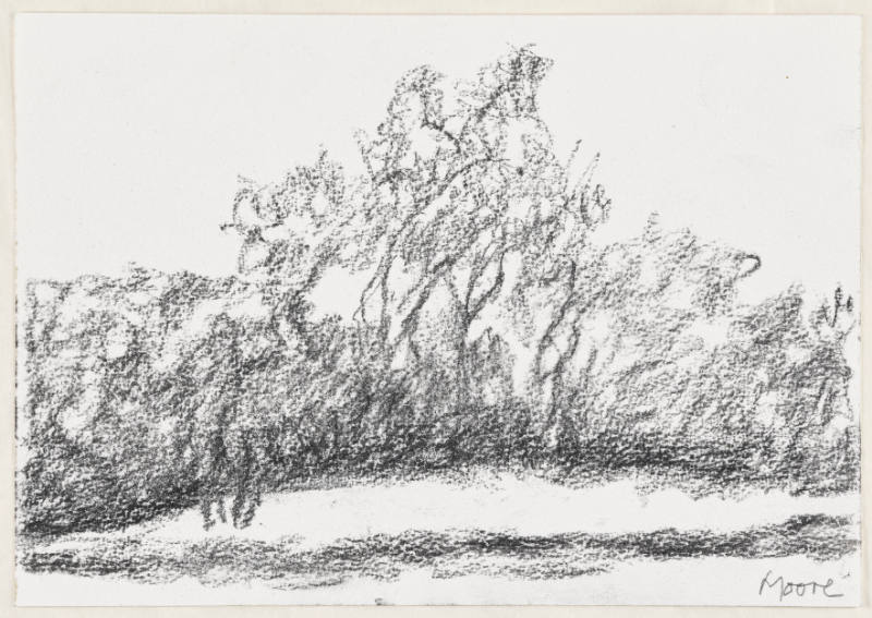 Landscape with Trees