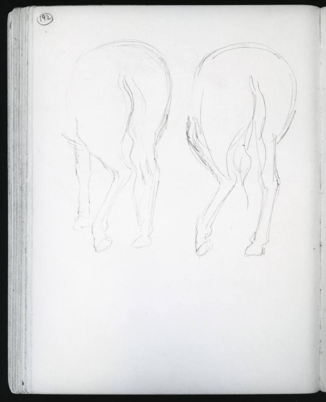 Studies of Horses