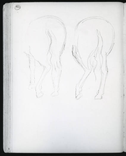 Studies of Horses