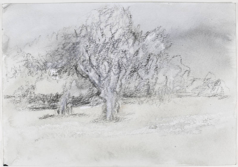 Landscape with Trees