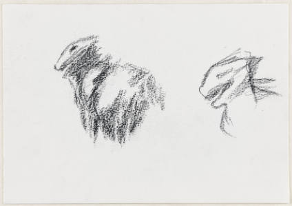 Two Studies of Lynx