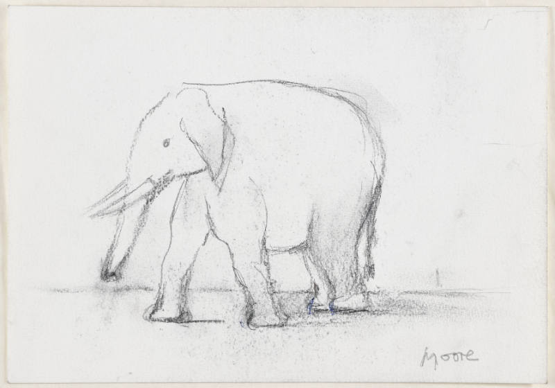 Elephant