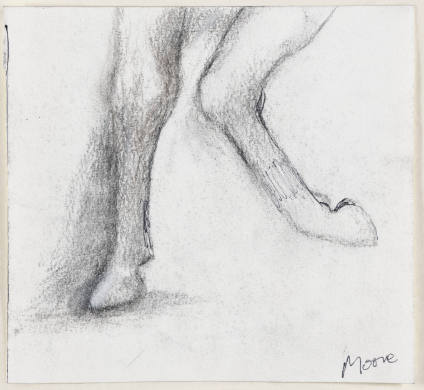 Horse's Hooves