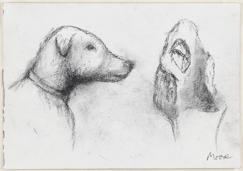 Dog and Grotesque Head