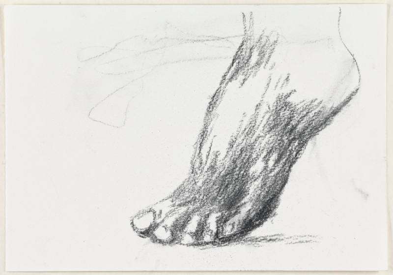 Foot