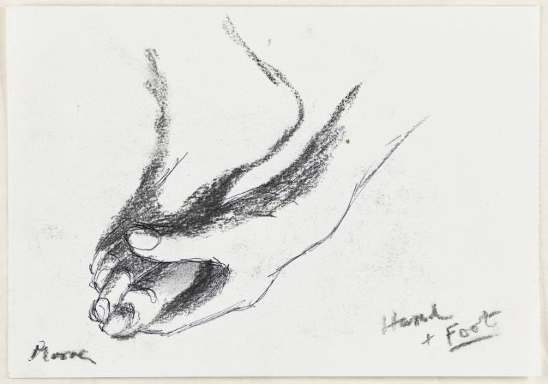 Hand and Foot