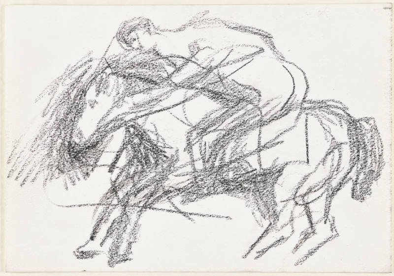 Horse and Rider