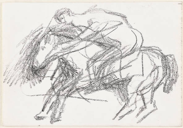 Horse and Rider