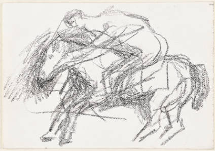 Horse and Rider