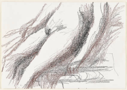 Figure Study