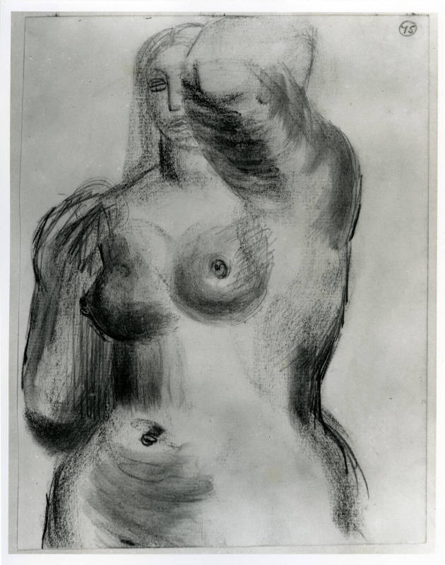 Half-Length Female Nude