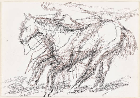 Horse and Rider