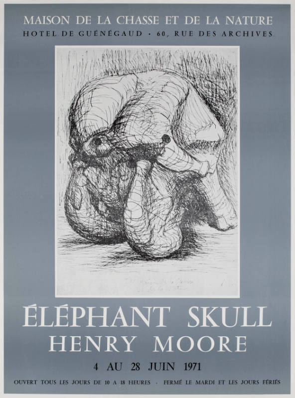 ÉLÉPHANT SKULL
HENRY MOORE