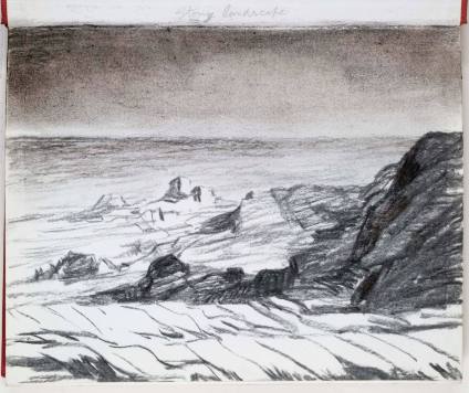 Stony Landscape