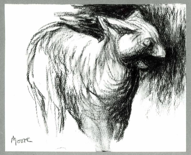 Lynx (Study after Persian Sculpture)